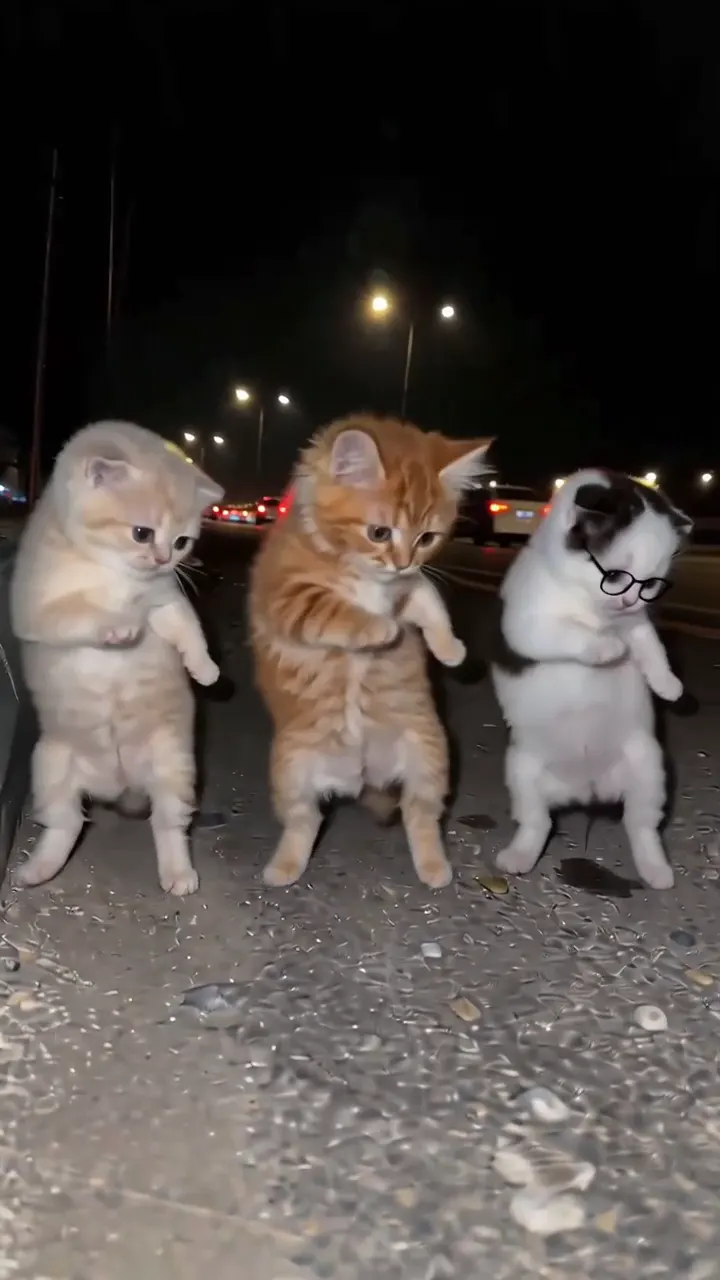 La Calabaza Kittens AI video example